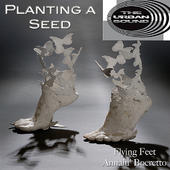 This is the Planting a seed album fro the artist Steven Gurevitz